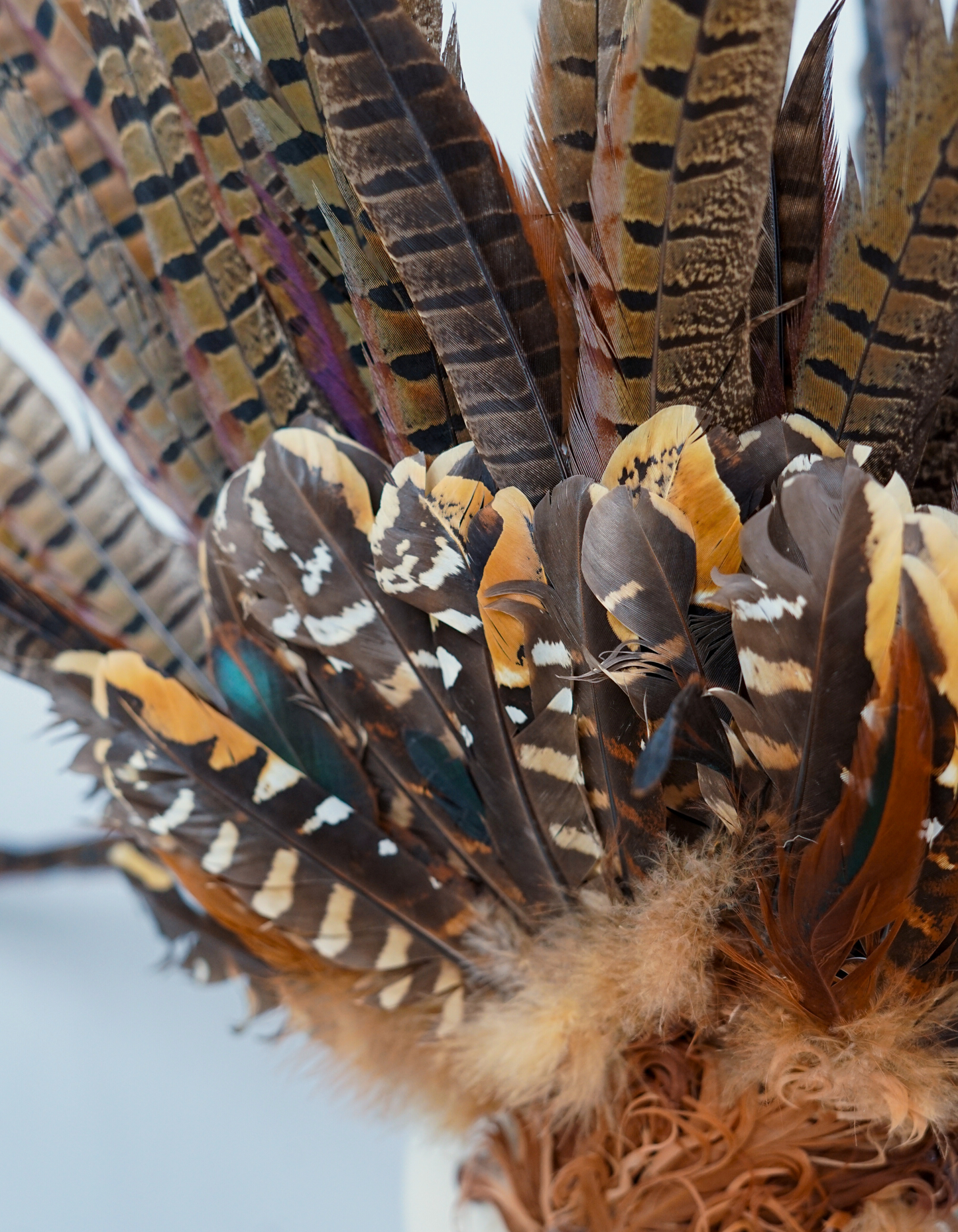 Burning Man Headpiece | Large Feathered Festival Costume Headpiece